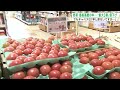 野菜価格高騰の中で最大3割値下げの特別セール　でもキャベツだけは…（abnステーション　2025.01.17）