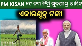 PM KISAN ୧୯ ତମ କିସ୍ତି ଟଙ୍କା ଆସିବ | PM KISAN YOJANA | today morning news 13 January 2025 | odisha tv