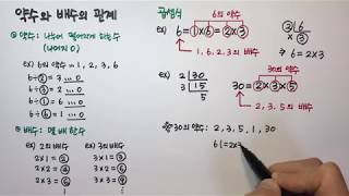 약수와 배수의 관계 (초등수학)