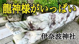 龍神様がいっぱい　伊奈波神社