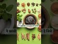 sitopaladi churna सितोपलादि चूर्ण health ayurveda trending tips churna herbs