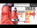 Chief Shumba Hwenje - Ramba Wakanyarara ( Official Audio )