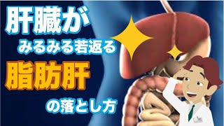 【日本人の脂肪肝は危険！すぐにピカピカの肝臓にしましょう】について現役医師がわかりやすく解説します