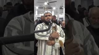Cat jumps on sheikh leading prayer.See his reaction #viral #religion #status #islamicscholar #shorts