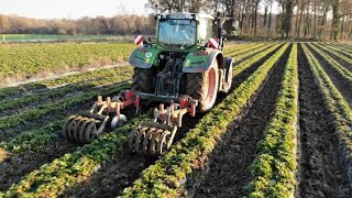 Spezialmaschine/Bodenbearbeitung für Erdbeerdämme/4Disc Cutora/Fendt 724 - 2020