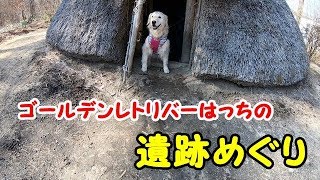 Playtube Pk Ultimate Video Sharing Website