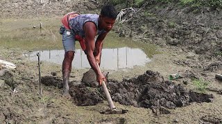 কোদাল দিয়ে মাটি খুরে কুচিয়া ধরা | Amazing Eel Fishing Technique From Dry Pond | Eel Fish Catching