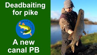 Deadbaiting for pike - a canal PB