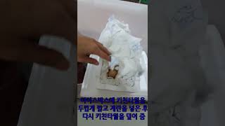 긴급하게 만든 간이 부화기(I make a simplicity egg incubator) #shorts