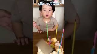 【きょうくんシリーズ】#shorts #子ども #誕生日 #happybirthday #ろうそく #ケーキ #cake #笑える #おもしろ動画 #消える