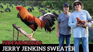 Jerry Jenkins Sweater Dink Fair 5k Yellow Leg Hatch Gilmore Kelso - JUB FARM ILOILO