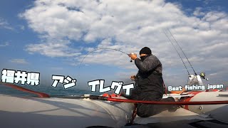 初サビキ釣りチャレンジで爆釣!!!1時間でアジ40cm 50Lのクーラーパンパン😎