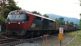 【2022/07/07･函館本線を走る貨物列車】大沼公園駅を通過する,おそらく51ﾚ(仙台タ→札幌タ･遅れ) DF200-51牽引