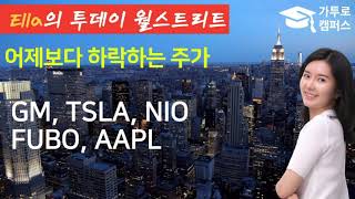 📈 어제보다 하락하는 주가 #GM(지엠), #TSLA, #NIO(니오), #FUBO, #AAPL(애플)