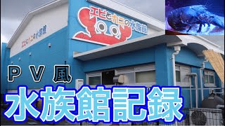 【すさみ町立エビとカニの水族館】忙しい人のための水族館巡り！pv風