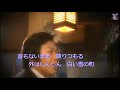 「雪の居酒屋」桜川けん　歌唱／夢ほたる