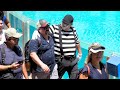 Lots of Laughs With Mime Tom at SeaWorld Orlando | Tom the Mime