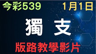 【今彩539】獨支｜少年狼539｜1月1日｜獨支版路教學