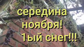 Нежданный снег!Утепляем фруктовые растения!Сорвала ГРАНАТ!!!