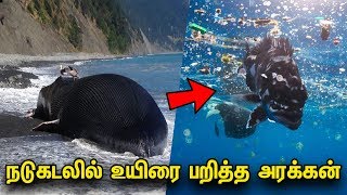 நடு கடலில் கூட உயிரை பறிக்கும் ஒரு அரக்கன், பிளாஸ்டிக்! | Tamil News