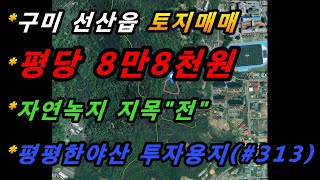 경상북도 구미시 선산읍 노상리 토지매매/저렴한 토지/평평한 모양/투자용지 추천/구거로 도로와 연결(매번#313)