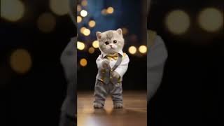 #catdancing #subscribe