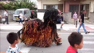 【沖縄】獅子舞の向かう先は…Japanese Tradition