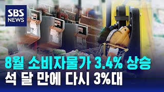 8월 소비자물가 3.4% 상승…석 달 만에 다시 3%대 / SBS