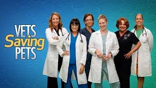 Follow Veterinarians at One of the Busiest Veterinary Clinics!