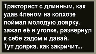 Тракторист на колхозе поймал молодую доярку... Сборник анекдотов! Юмор! Позитив!