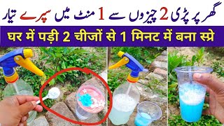 I Tried Homemade Organic Pesticide | Best Free Organic pesticide For all home plants