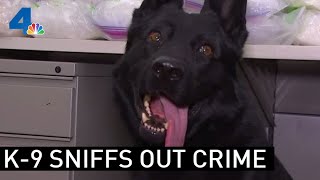 Fontana K-9 Sniffs Out Largest Drug Bust in City's History | NBCLA