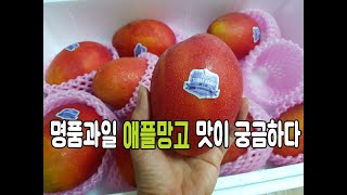 명품과일 애플망고 맛이 궁금하다