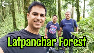 SCARY FOREST OF LATPANCHAR | NORTH BENGAL OFFBEAT DESTINATION | LATPANCHAR HOMESTAY |  EP-8