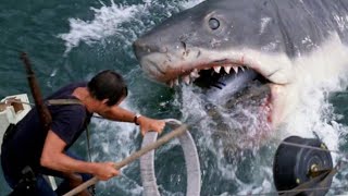 Katil köpek Balığı Filmi (Yeni) Korku Gerilim | Türkçe Dublaj İzle 2024