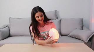 Halussoer Smart Table Lamp Best Review