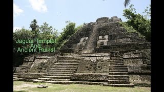 Tour of Lamanai Mayan Ruins Belize and local Wildlife