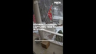 Trees exploding from freezing temperatures in Tennessee