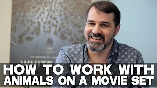 How To Work With Animals On A Movie Set - Full Interview with Kornél Mundruczó of WHITE GOD