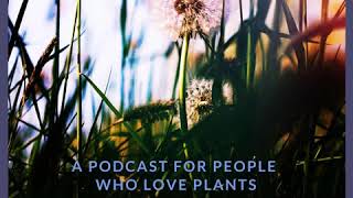 EP22: Foraging The Future, Sustainability \u0026 Vital Connection // Miles Irving