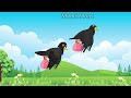 দুই কাকের লড়াই the crow story bengali cartoon moralstory rupkothar golpo nboni toons