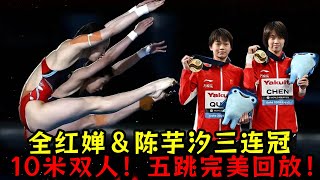 三連冠！2024多哈游泳世錦賽：全紅嬋＆陳芋汐斷層奪冠！雙人天花板！五跳完美回放！