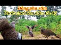 Đồng pha sấm nước chơi kèm dặm tốc độ. Clip 367. cả nhà xem vui nha.