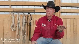 Desensitize your Horse to the Real World - Q&A with Bill Oliver Horsemanship