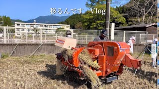 授業の一環で稲刈り〜脱穀（移住田舎暮らし）