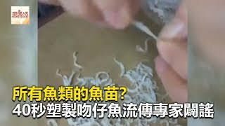 所有魚類的魚苗？40秒塑製吻仔魚流傳專家闢謠《財經燒話題》2019.07.14