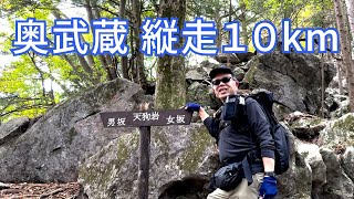 【中級者におすすめ】関東の奥武蔵  武川岳〜二子山を縦走10キロ