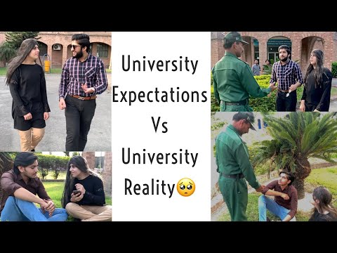 University Expectations Vs Reality Punjab University Must Watch