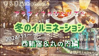 【アラフィフのひとりごと】独身ライフ 冬のイルミネーション西新宿/丸の内編