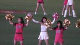 2013.8.29 SoftBank Hawks Honeys